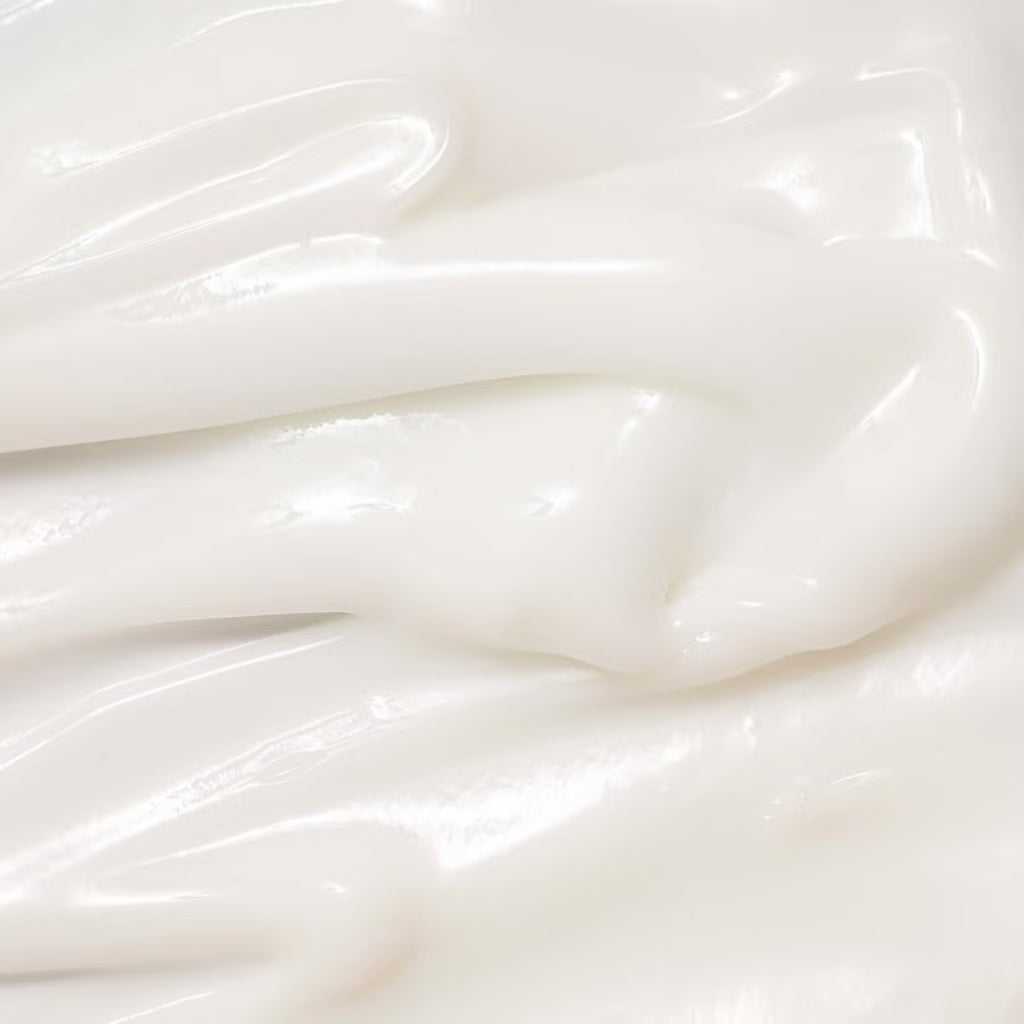 Beauty of Joseon Dynasty Cream Renewed Version 1.69 Fl Oz/50ml