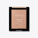 Wet N Wild Color Icon Bronzer What Shady Beaches