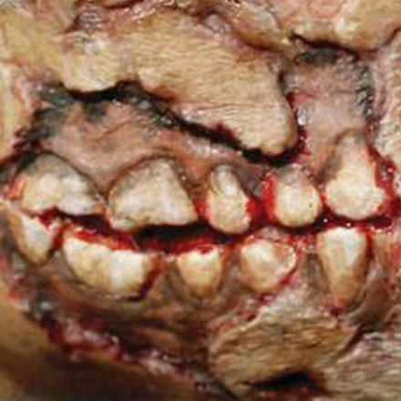 Tinsley Transfers Zombie Cheek Decay 3D FX Transfer