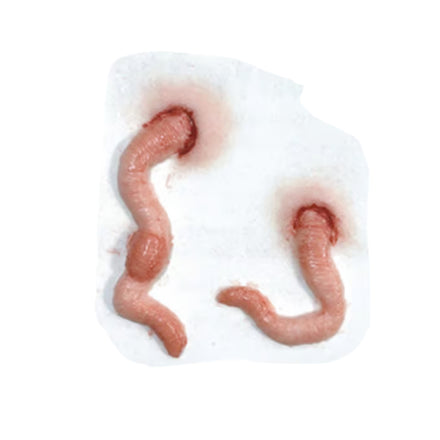 Tinsley Transfers Squirm 3D FX Transfer