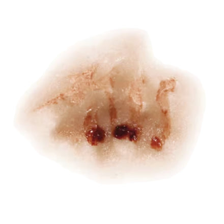 Tinsley Transfers Zombie Nose 3D FX Transfer