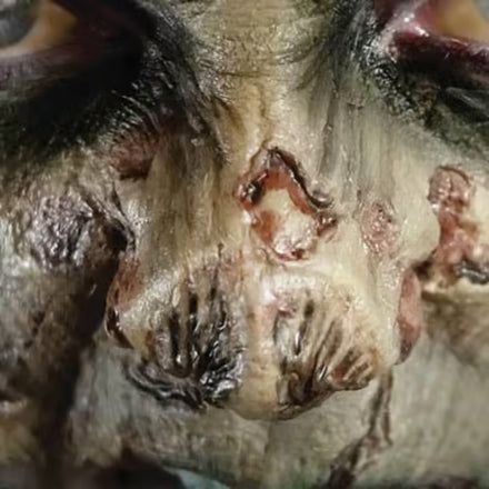 Tinsley Transfers Zombie Nose 3D FX Transfer