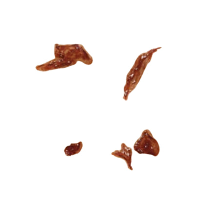 Tinsley Zombie Lips – 3D FX Transfers