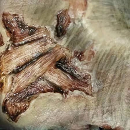 Tinsley Transfers Zombie Gash 3D FX Transfer