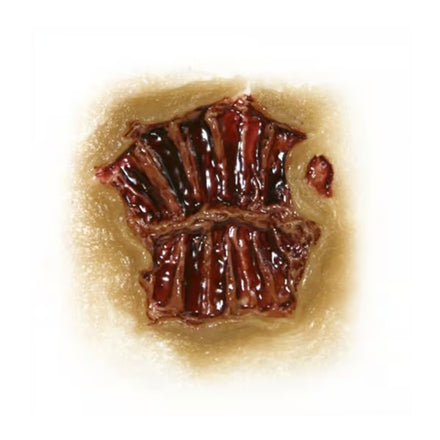 Tinsley Transfers Zombie Bite 3D FX Transfer