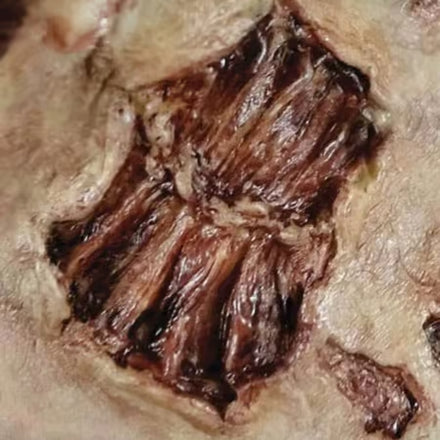 Tinsley Transfers Zombie Bite 3D FX Transfer