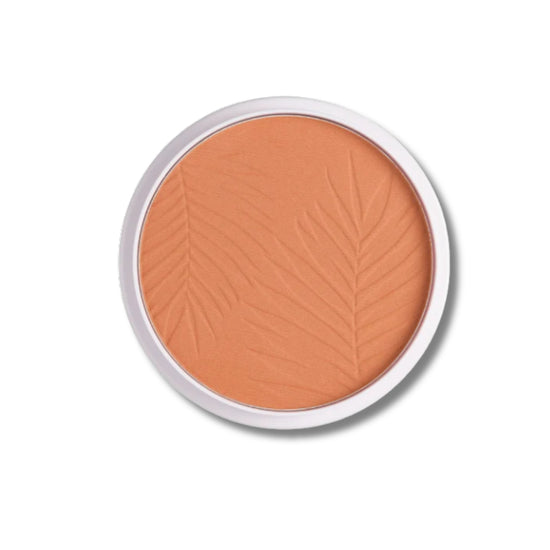 Collection Bronze Glow Matt Powder-Light Terracotta